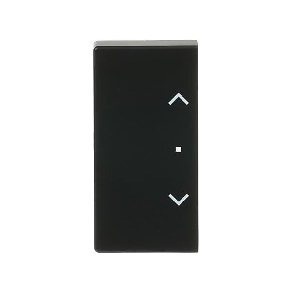 Busch-Jaeger Wippe sw mt future linear 6232-20-885